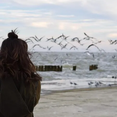 White Pearl 4 01 Lägenhet