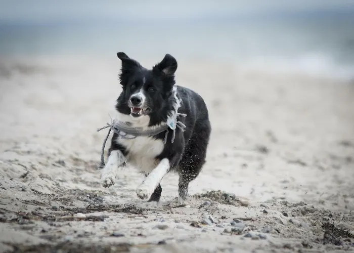 White Pearl 4 01 * Timmendorfer Strand