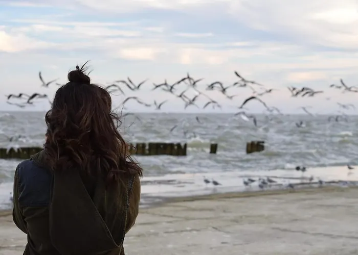 White Pearl 4 01 Apartment